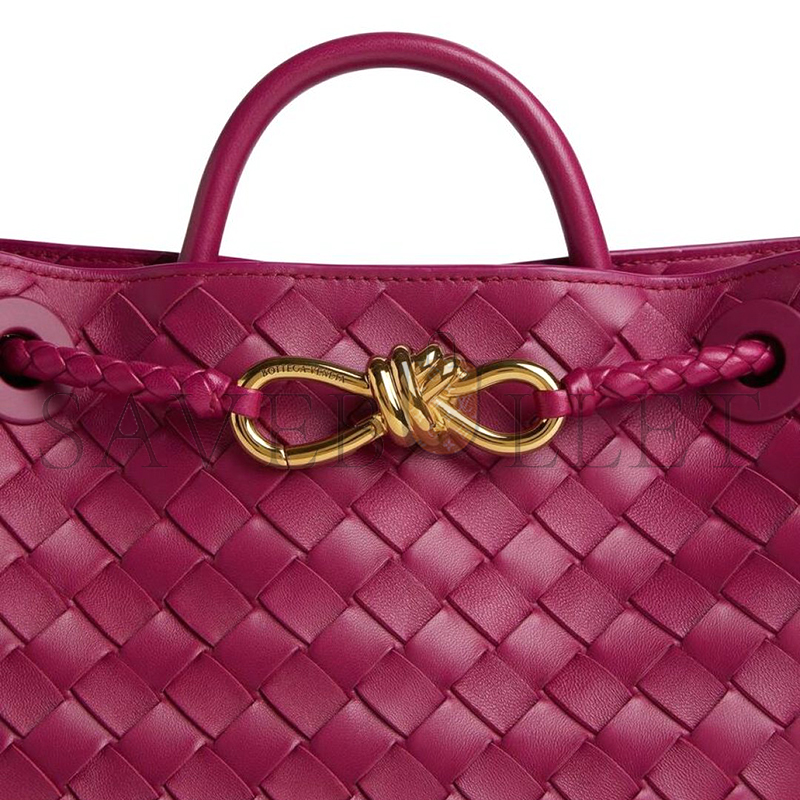 BOTTEGA VENETA SMALL ANDIAMO 743568 (25*22*10.5cm)